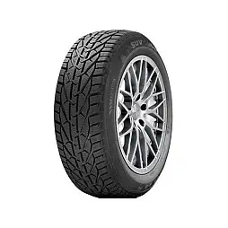 TIGAR 205/60R17 93H TL WINTER TG